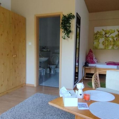 Doppelzimmer An Der Lahn Ohne Kueche Διαμέρισμα Obernhof Εξωτερικό φωτογραφία